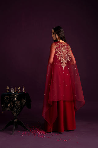 3 Piece Organza Embroidered (FW0016)