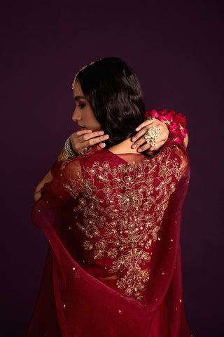 3 Piece Organza Embroidered (FW0016)