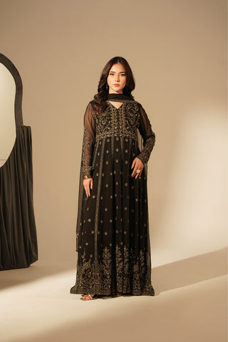 2 Piece Chiffon Embroidered Suit (FW0017)