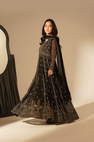 2 Piece Chiffon Embroidered Suit (FW0017)