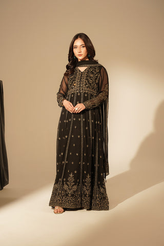 2 Piece Chiffon Embroidered Suit (FW0017)