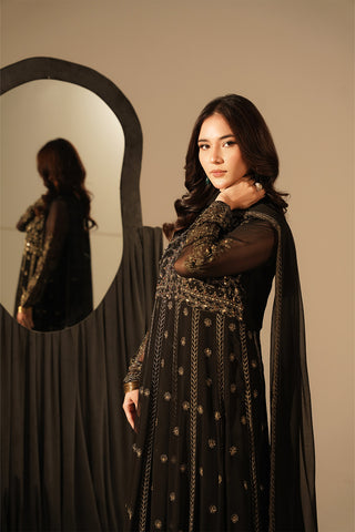 2 Piece Chiffon Embroidered Suit (FW0017)
