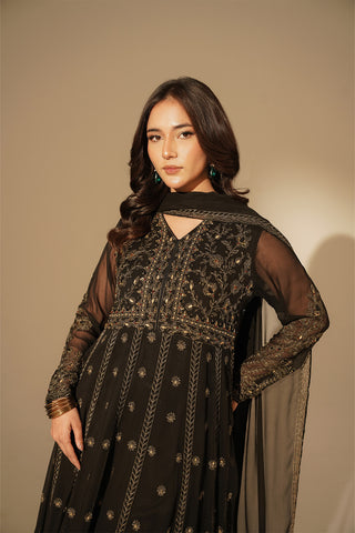 2 Piece Chiffon Embroidered Suit (FW0017)