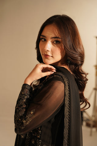 2 Piece Chiffon Embroidered Suit (FW0017)