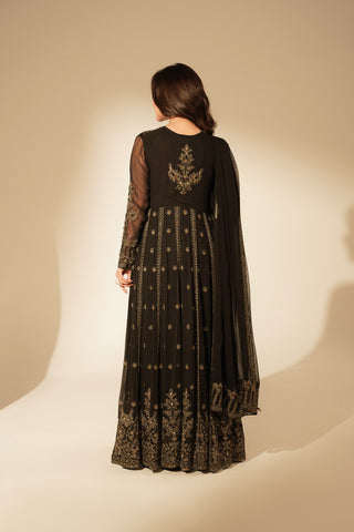 2 Piece Chiffon Embroidered Suit (FW0017)