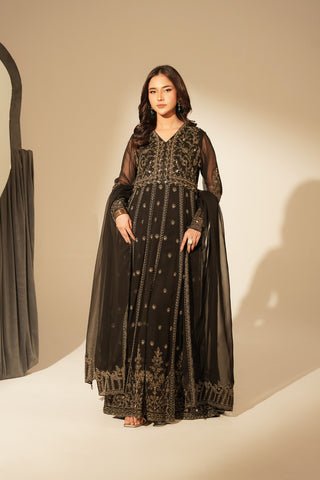 2 Piece Chiffon Embroidered Suit (FW0017)