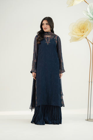 3 Piece Chiffon Embroidered Suit (FW0024)