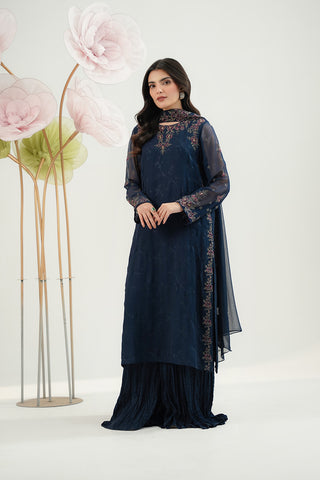 3 Piece Chiffon Embroidered Suit (FW0024)