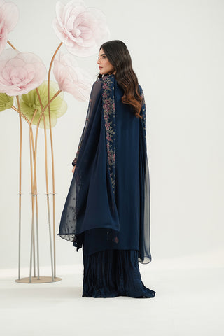 3 Piece Chiffon Embroidered Suit (FW0024)