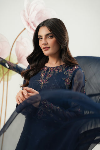 3 Piece Chiffon Embroidered Suit (FW0024)