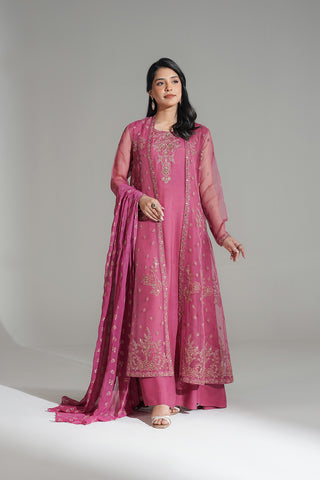 2 Piece Synthetic Organza Embroidered (FW0030)