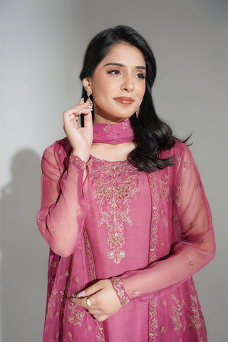 2 Piece Synthetic Organza Embroidered (FW0030)