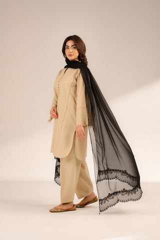 1 Piece Chiffon Embroidered Dupattas/Stoles (FD0064)