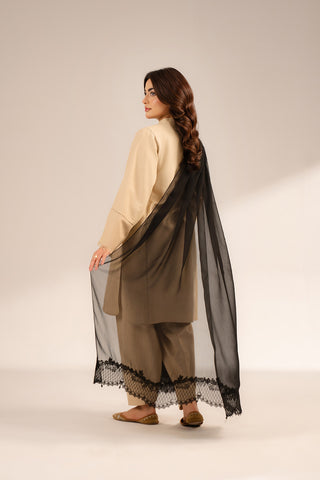 1 Piece Chiffon Embroidered Dupattas/Stoles (FD0064)