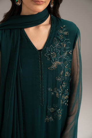 2 Piece Chiffon Embroidered (FS0113)