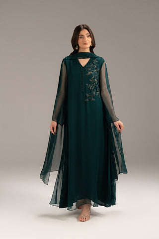 2 Piece Chiffon Embroidered (FS0113)