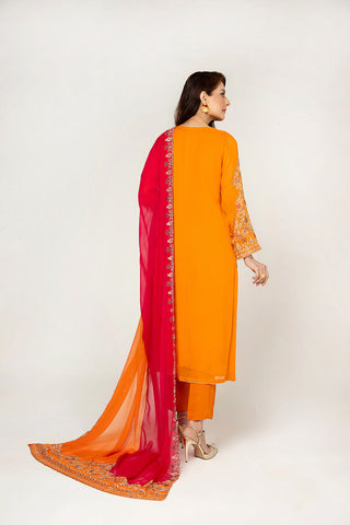 3 Piece Chiffon Embellished Suit  (AA5363)