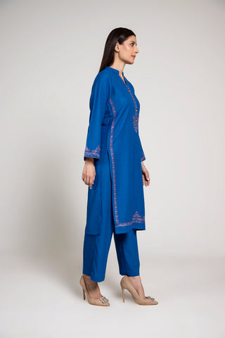 2 Piece Cotton Karandi Embroidered Suit (HB1231)