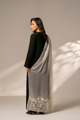 1 Piece Chiffon Embroidered Dupattas/Stoles (FD0067)