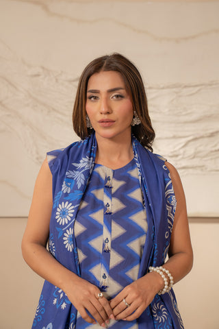 2 Piece Unstitched  Lawn Printed Suit (UC0038)