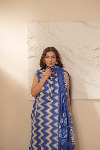 2 Piece Unstitched  Lawn Printed Suit (UC0038)