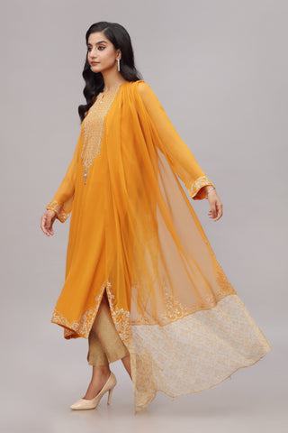 TURMERIC JALI (AA4908)