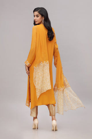 TURMERIC JALI (AA4908)