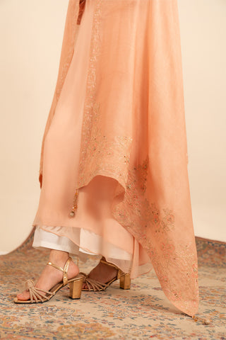 1 Piece Georgette Embroidered Shawl (FH0005)
