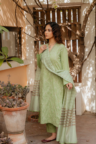 3 Piece Lawn Embroidered Suit (CS0038)