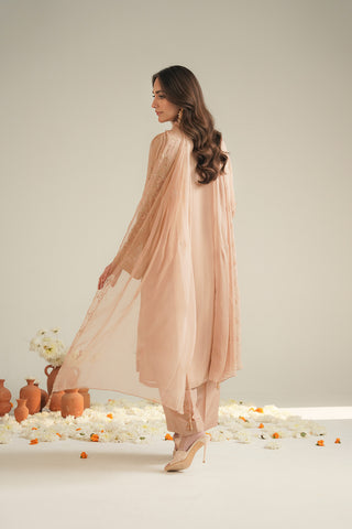 3 Piece Chiffon Embroidered Unstitched Suit (UF0036)