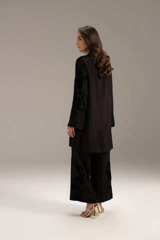 2 Piece Raw Silk Embroidered Suit (FL0113)