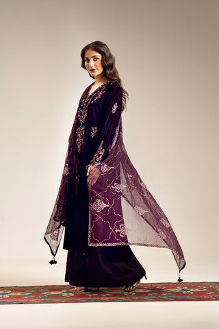 3 Piece Velvet Embroidered (UF0027)