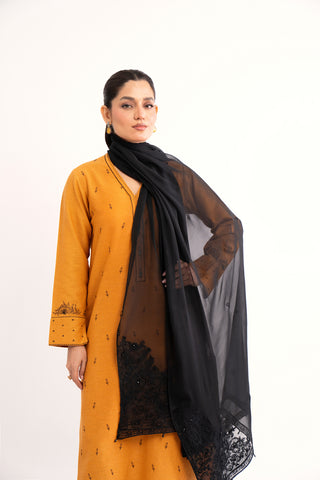 1 Piece Chiffon Embroidered Dupatta (AA5456)