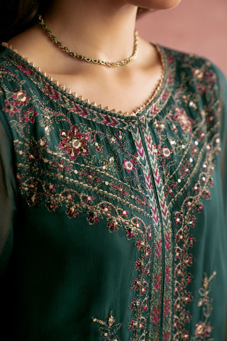 2 Piece Chiffon Embroidered Suit (AP0051)