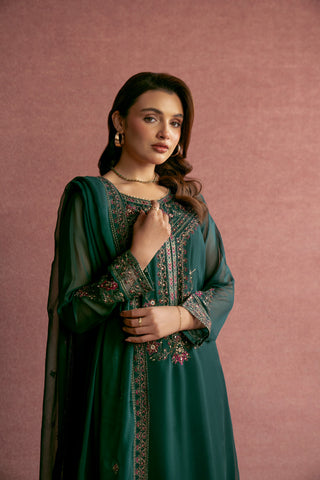 2 Piece Chiffon Embroidered Suit (AP0051)
