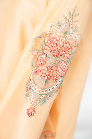 2 Piece Lawn Embroidered Suit (CP0051)