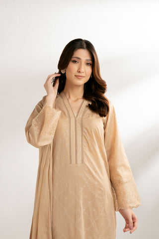 3 Piece Lawn Embroidered Suit (CS0176)