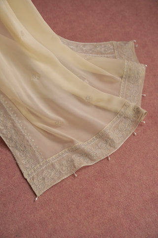 1 Piece Chiffon Embroidered Dupatta (FD0009)