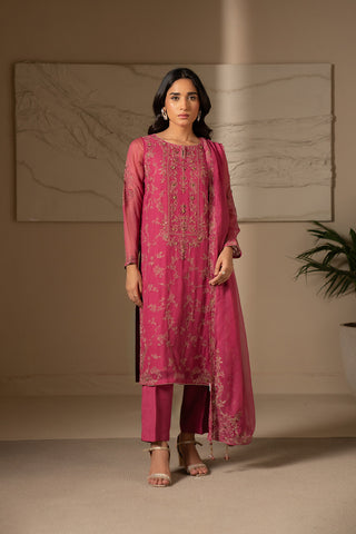 3 Piece Chiffon Embroidered Suit (FW0007)