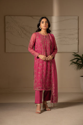 3 Piece Chiffon Embroidered Suit (FW0007)