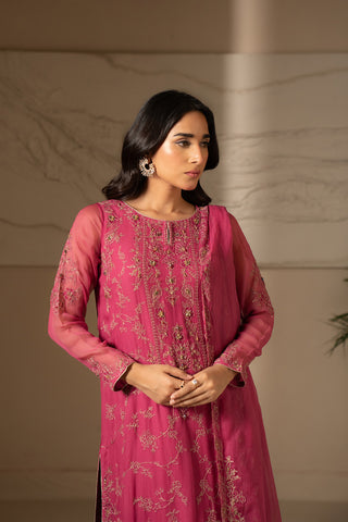3 Piece Chiffon Embroidered Suit (FW0007)