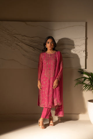 3 Piece Chiffon Embroidered Suit (FW0007)
