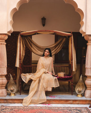 3 Piece Unstitched Organza Embroidered Suit (AU0020)